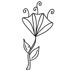 Doodle hand drawn flower. Vector illustration