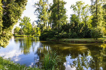 Fototapeta na wymiar Summer park garden landscape with a duck pond