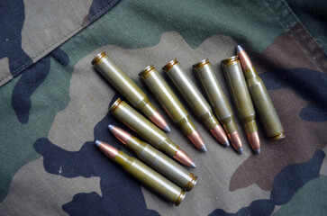 Carbine, ammo in 308 win calibre.