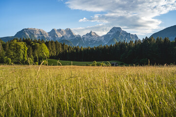 Idyllic summer landscape in the evening light in the beautiful Salzburger Land,Lofer, Pinzgau, Salzburger Land, Austria, Europe