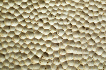 Wooden texture. Wood carving. Cut holes on surface.