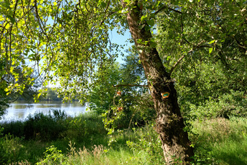 Fototapeta premium Path along the Loire river bank near Beaugency village