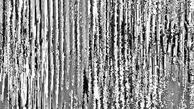 Analog noise texture. 8bit glitch. Transition overlay. VHS distortion. Black white fuzzy grain static artifacts abstract art background.