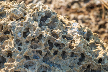 Background texture of limestone stone surface. Shell limestone close-up background. Shell limestone wall texture background.