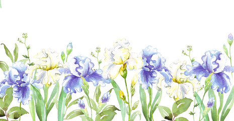 Watercolor iris border. Hand-painted clipart