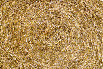 Closeup of a Yellow Round Straw Bale background. Copy space fro your text.