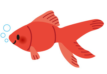 金魚,きんぎょ,キンギョ,金魚すくい,夏,夏祭り,魚,挿絵,縁日,風物詩,シンプル,きれい,祭り,泳ぐ,ペット,かわいい,生き物,生物,キャラクター,赤,淡水魚,水中,魚類,観賞用,観賞魚,美しい,１匹,単体,残暑見舞い,暑中見舞い