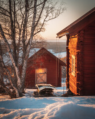 March in Frösön (Östersund), Sweden - Cozy red painted wooden cabins during golden hour with...