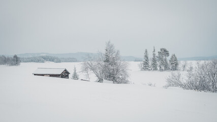 Heavy snowfall in Storsjö (Sweden, Jämtland, Härjedalen, Lapland). A Small wooden cabin and...