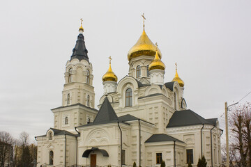 Fototapeta na wymiar Cross Exaltation Cathedral in Zhytomyr, Ukraine 