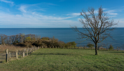 Obraz premium Landschaft und Meer an der Ostküste der Insel Rügen bei der Stadt Göhren