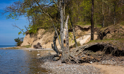 K&uuml;stenlandschaft bei Lietzow auf R&uuml;gen,