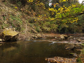養老渓谷の紅葉