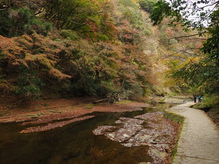 養老渓谷の紅葉