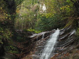 養老渓谷　万代の滝