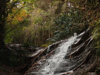 養老渓谷　万代の滝