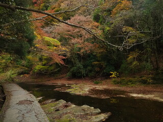 秋の養老渓谷