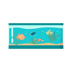 Long aquarium with four exotic fish Cartoon vector illustration on white background