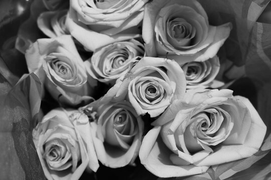 white roses bouquet in black and white 