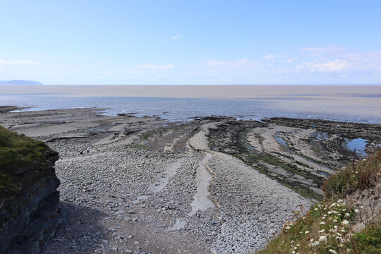 A Few People Wander Around Kilve Beach Near East Quantoxhead In Somerset, England Looking For Fossils. Strata Of Rock Dating Back To The Jurassic Era Form Cracked Pavements Along The Beach.