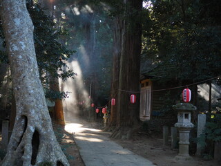神社の参道