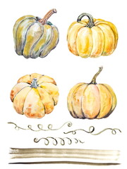 The set of hand-drawn watercolor illustration. Orange and green ripe pumpkins isolated on a white background.