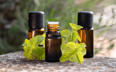 Close-up of three brown bottles with natural peppermint essential oil