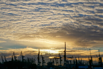 Naklejka premium The sunset over shipyard in Hamburg