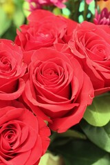bouquet of roses