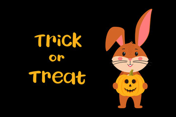 Halloween greeting card template with a cute rabbit with jack'o'lantern pumpkin, the symbol of the year 2023 according to the Chinese calendar. Vector stock illustration with Handwritten text
