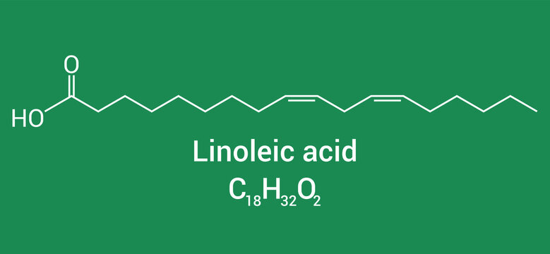 chemical structure of linoleic acid (C18H32O2)