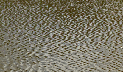 Texture of greenish water with small waves.