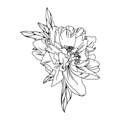 Elegant flower arrangement of line art peonies and leaves. Hand-drawn peony flowers. Design wedding invitation, envelopes, greeting card template. Vector illustration