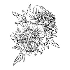 Elegant flower arrangement of line art peonies and leaves. Hand-drawn peony flowers. Design wedding invitation, envelopes, greeting card template. Vector illustration