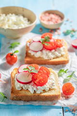 Fresh toasts with cherry tomatoes, cottage cheese and radish.
