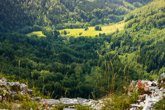 Vu plongeante sur la combe d'Orvaz, Jura, Ain, Auvergne-Rh&ocirc;ne-Alpes, France