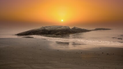 Fototapeta na wymiar Early morning walk along foggy beach at Taylors Head Bay, Tangier, NS, Canada