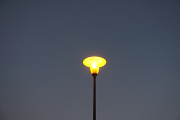 Lampa uliczna świecąca w parku - obrazy, fototapety, plakaty