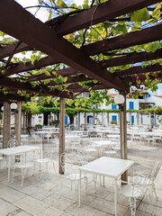 Tables with chairs stand in a pergola entwined with grapes