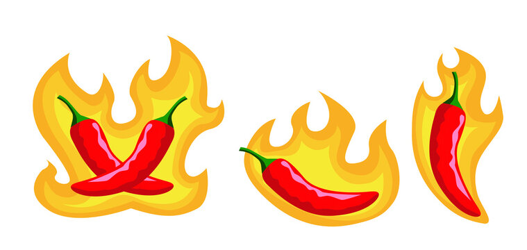 Hot chili with fire vector illustration