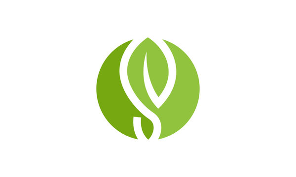 green leaf, letter s leaf logo vector template