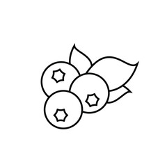 Ripe blueberry fruit vector icon outline. EPS 10. Natural food illustration. Berrys with leaves. Fresh nature food. Can be used for logo, app, web, brochures, banner, restaurant menu and market.
