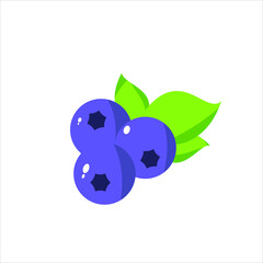 Ripe blueberry fruit vector icon in color. EPS 10. Natural food illustration. Berrys with leaves. Fresh nature food. Can be used for logo, app, web, brochures, banner, restaurant menu and market.