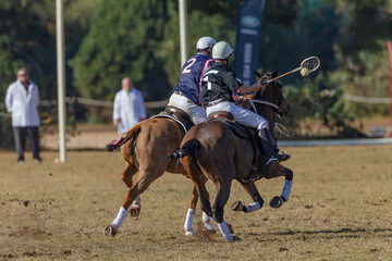 Polo Cross Players Horse Pony's Rider Fast Riding Game Action On Field