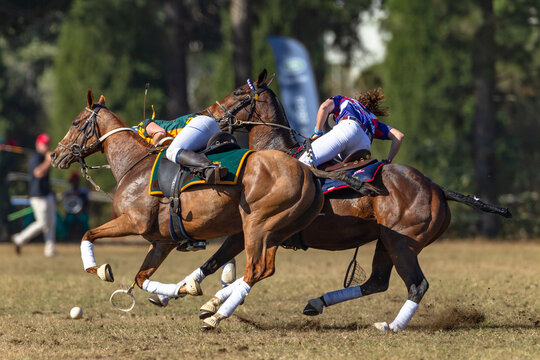 Polo Cross Players Horse Pony's Rider Fast Riding Game Action On Field