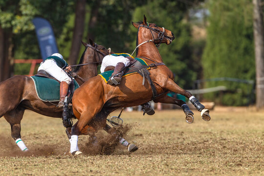Polo Cross Players Horse Pony's Rider Fast Riding Game Action On Field