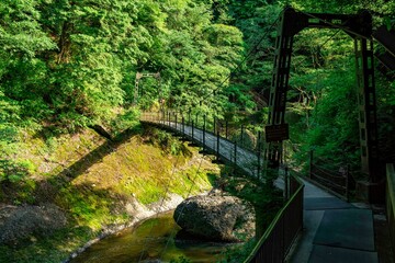 恐怖の吊り橋