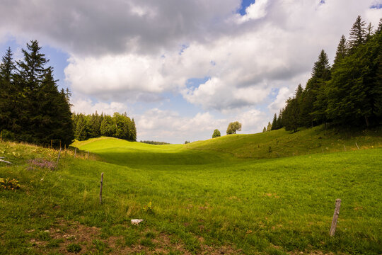 Prairies bocag&egrave;res et vallonn&eacute;es, massif du Jura, Ain, Auvergne-Rh&ocirc;ne-Alpes, France.