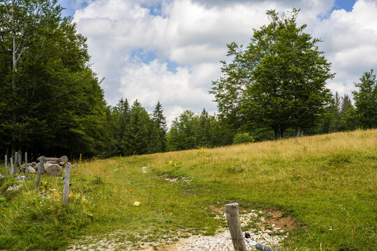 Prairies bocag&egrave;res et vallonn&eacute;es, massif du Jura, Ain, Auvergne-Rh&ocirc;ne-Alpes, France.