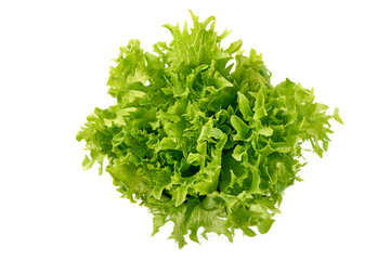 Lettuce Salad leaves, isolated on white background.